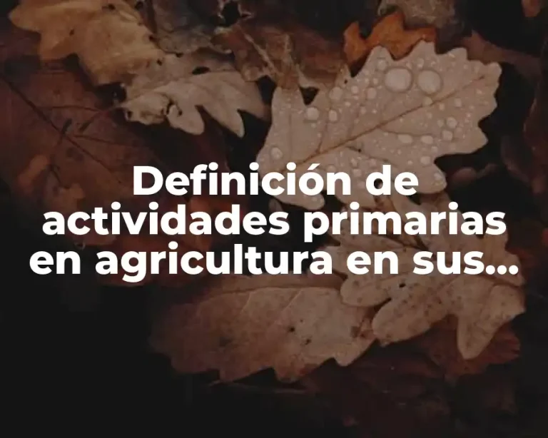 Definición de actividades primarias en agricultura en sus etapas
