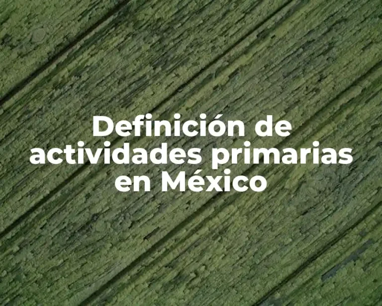 Definición de actividades primarias en México