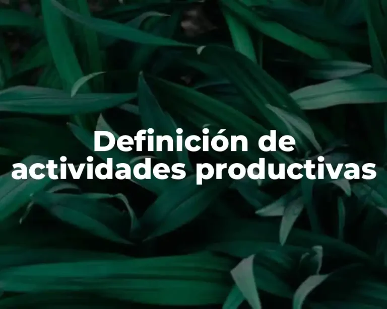 Definición de actividades productivas