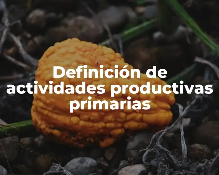 Definición de actividades productivas primarias