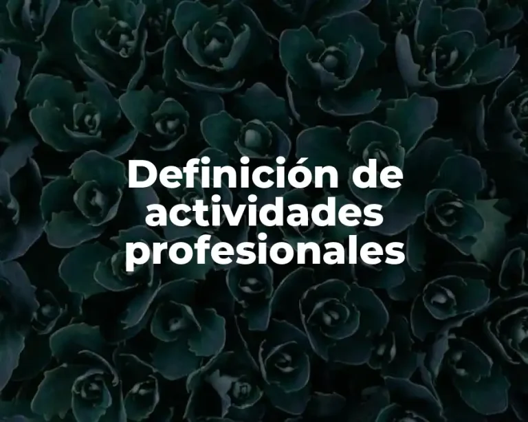 Definición de actividades profesionales