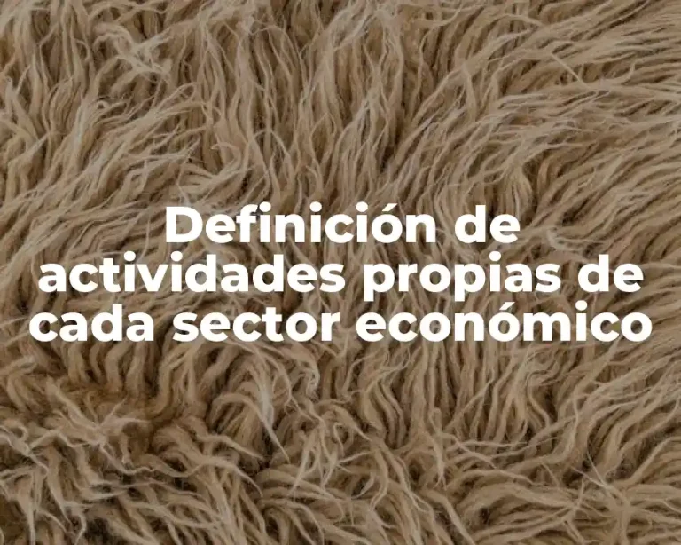 Definición de actividades propias de cada sector económico