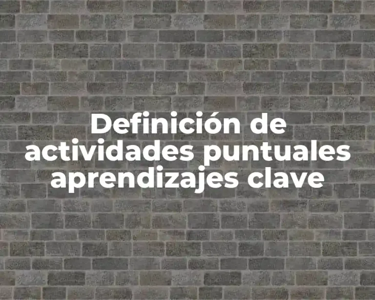 Definición de actividades puntuales aprendizajes clave