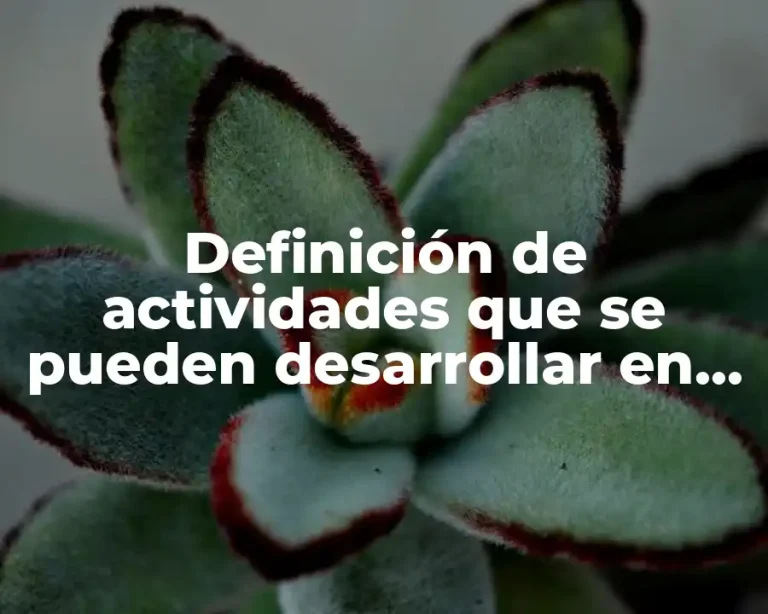 Definición de actividades que se pueden desarrollar en una plataforma educativa