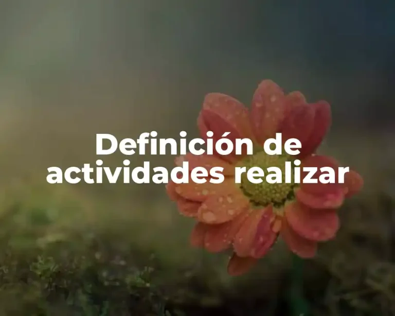 Definición de actividades realizar