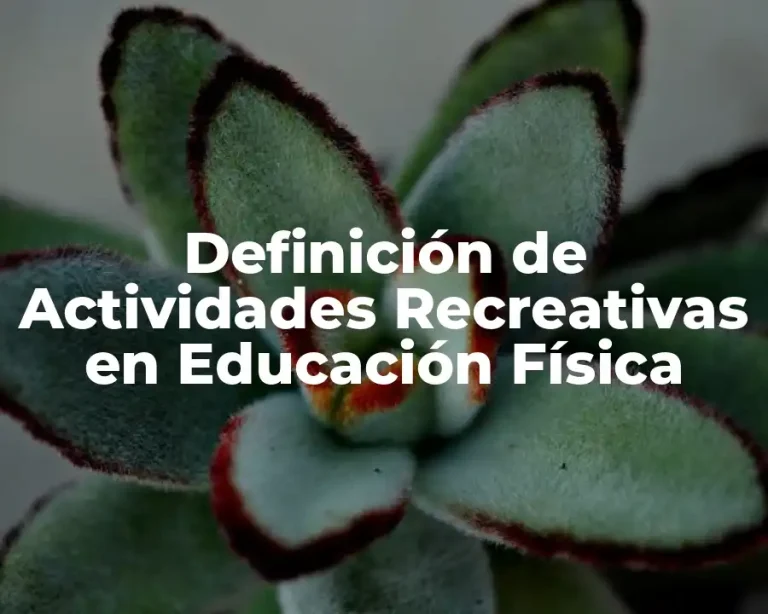 Definición de Actividades Recreativas en Educación Física