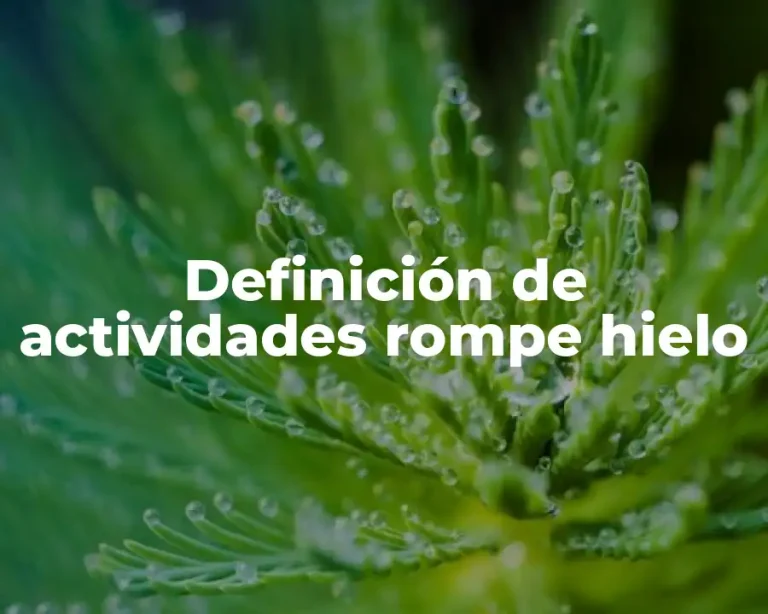 Definición de actividades rompe hielo