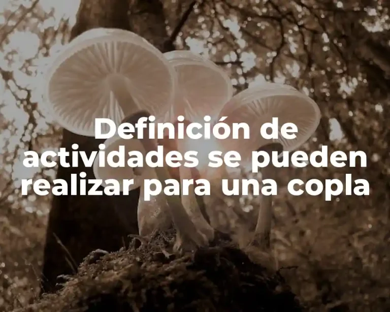 Definición de actividades se pueden realizar para una copla