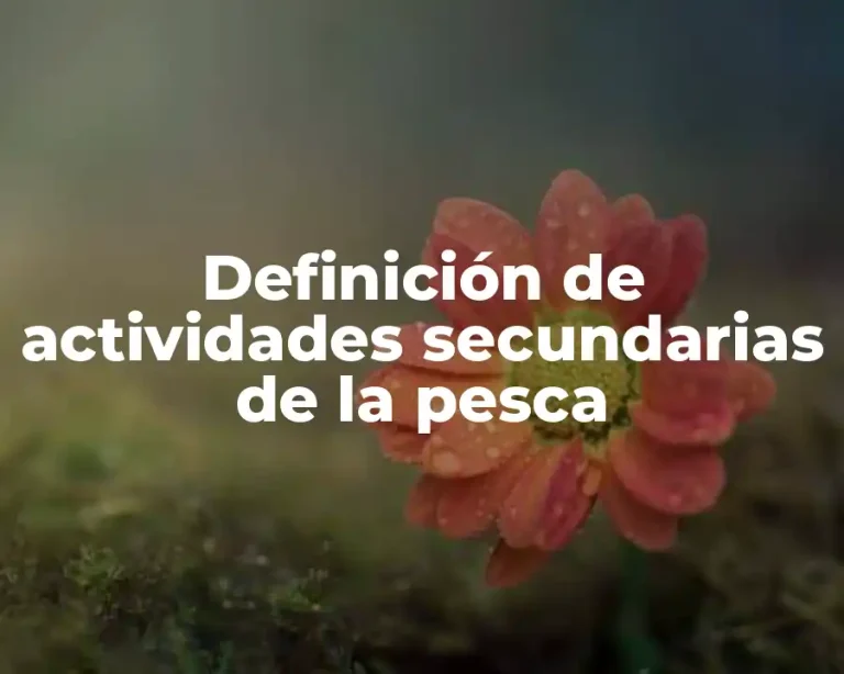 Definición de actividades secundarias de la pesca