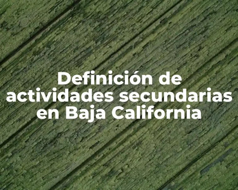 Definición de actividades secundarias en Baja California