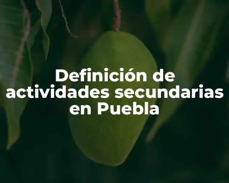 Definición de actividades secundarias en Puebla