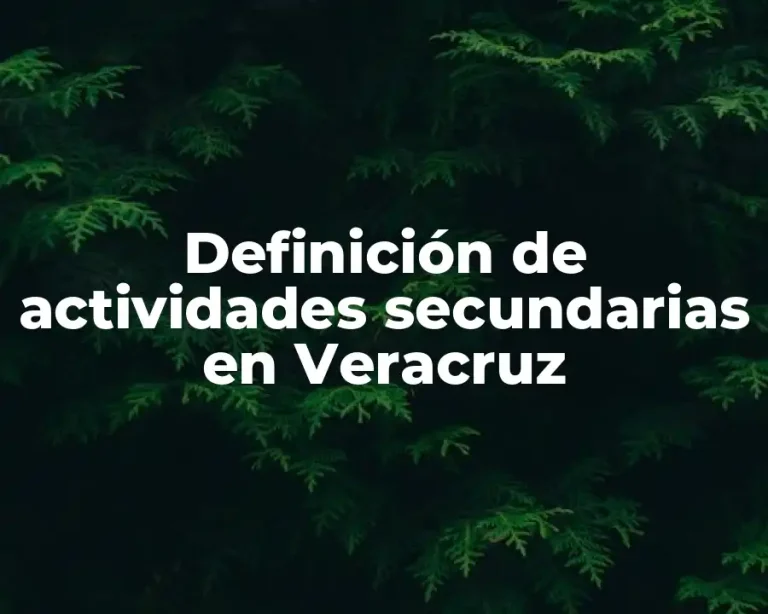 Definición de actividades secundarias en Veracruz