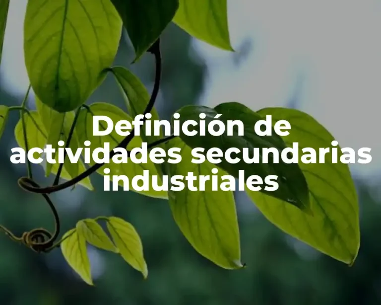 Definición de actividades secundarias industriales