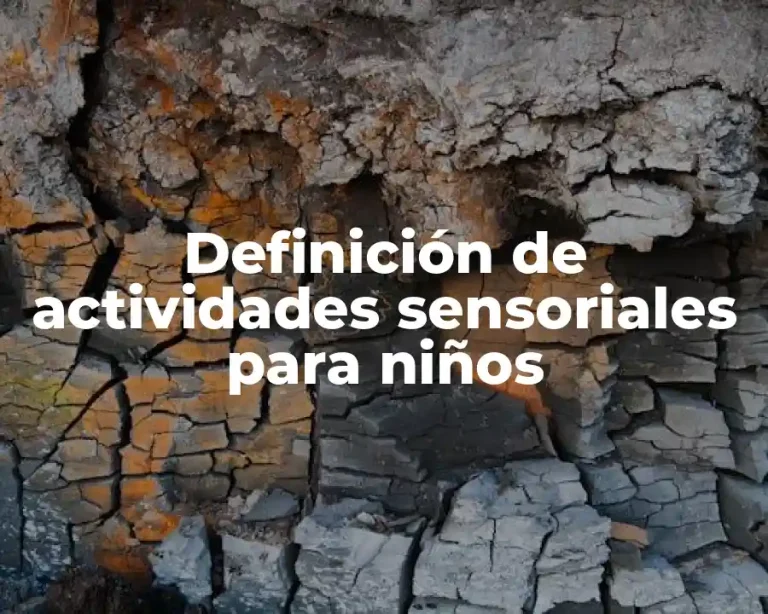 Definición de actividades sensoriales para niños