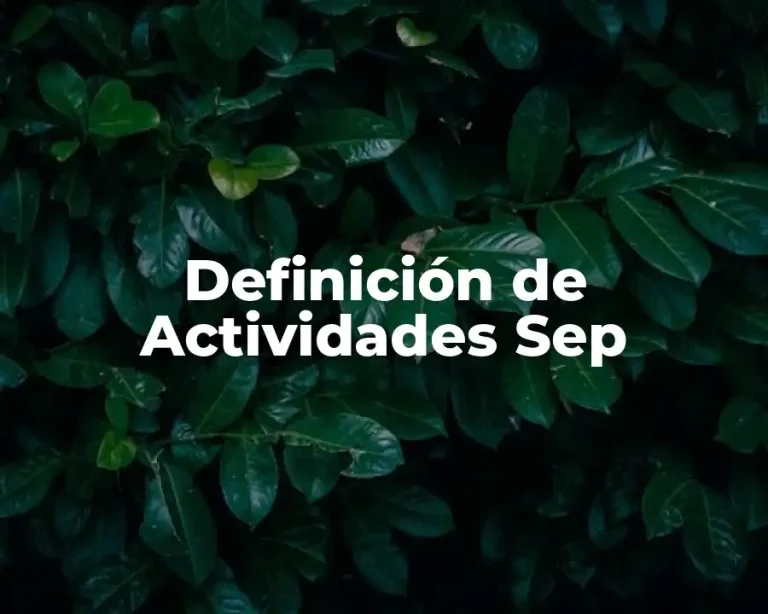 Definición de Actividades Sep