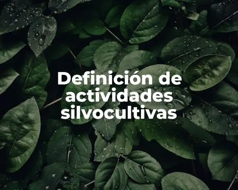 Definición de actividades silvocultivas