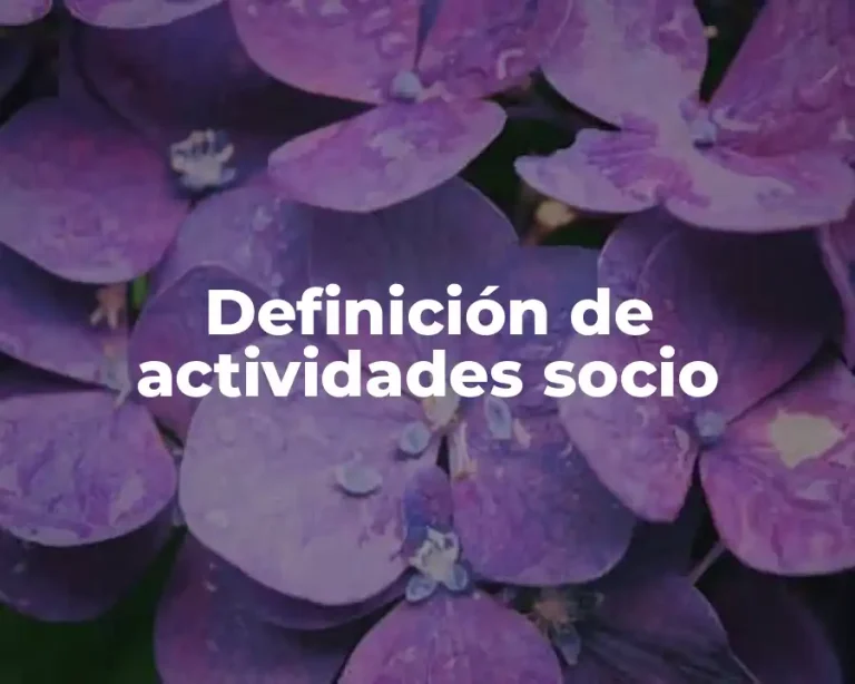 Definición de actividades socio