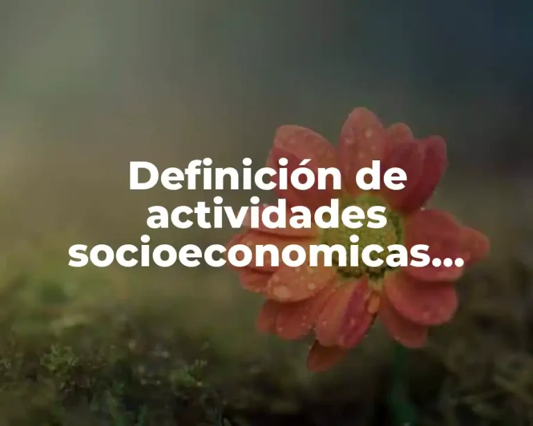 Definición de actividades socioeconomicas secundarias