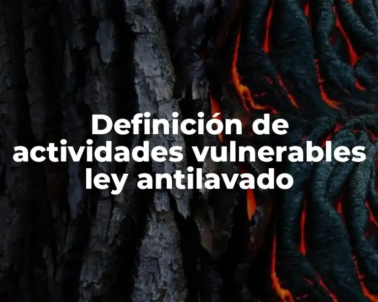 Definición de actividades vulnerables ley antilavado