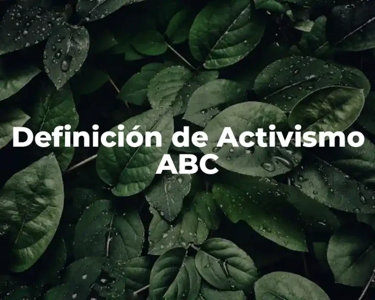 Definición de Activismo ABC