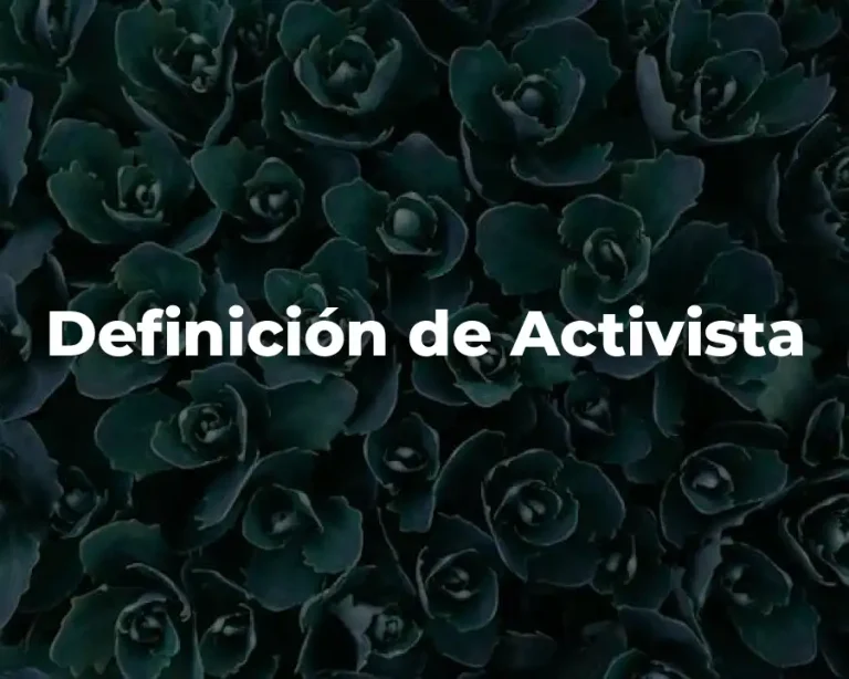Definición de Activista