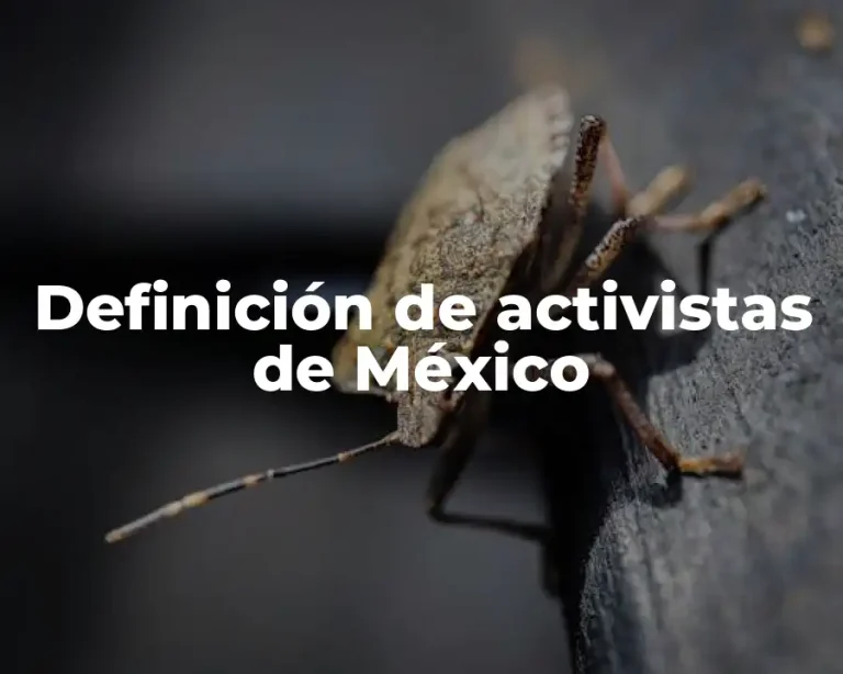 Definición de activistas de México