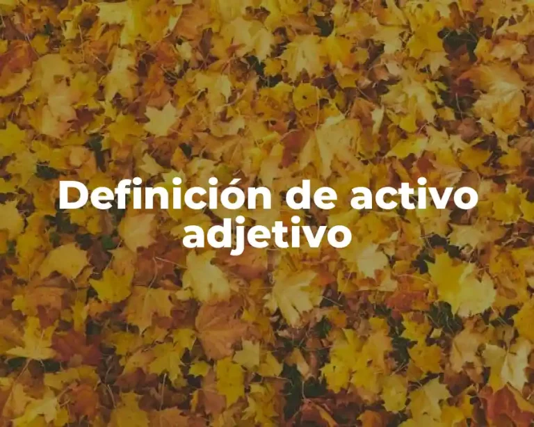 Definición de activo adjetivo