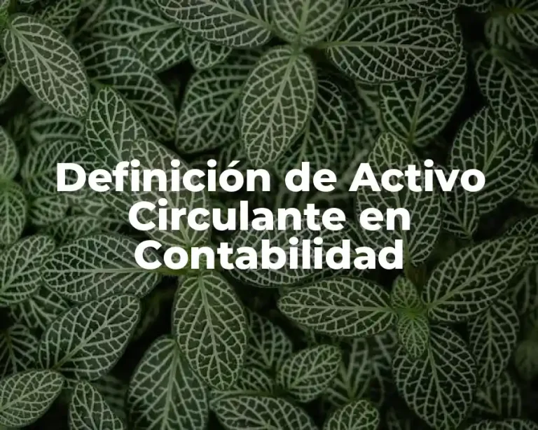 Definición de Activo Circulante en Contabilidad