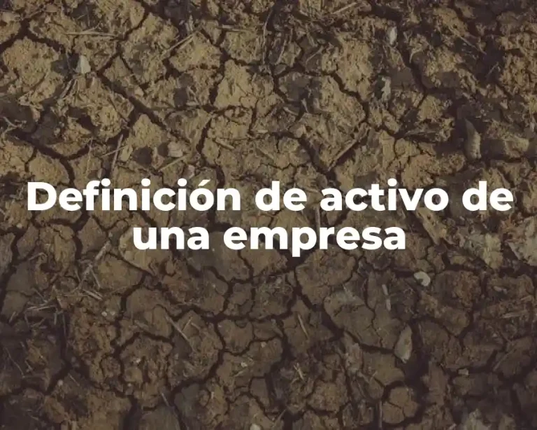Definición de activo de una empresa