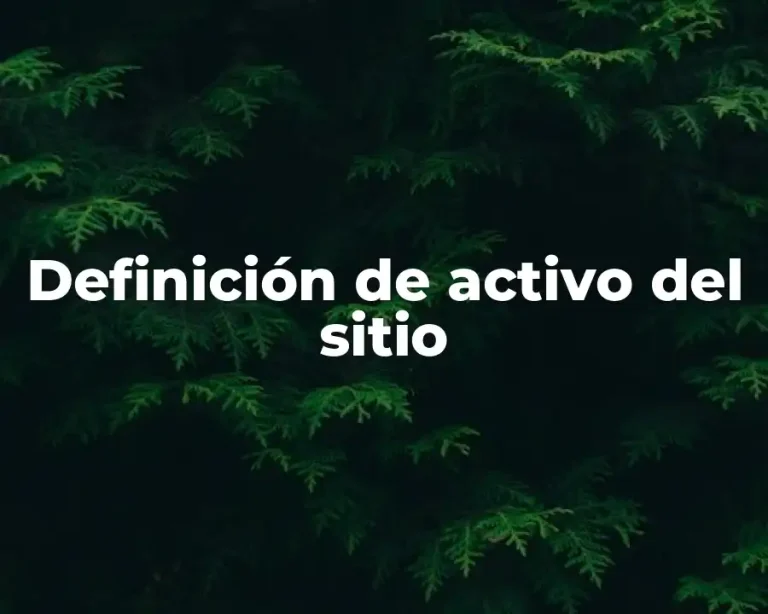 Definición de activo del sitio