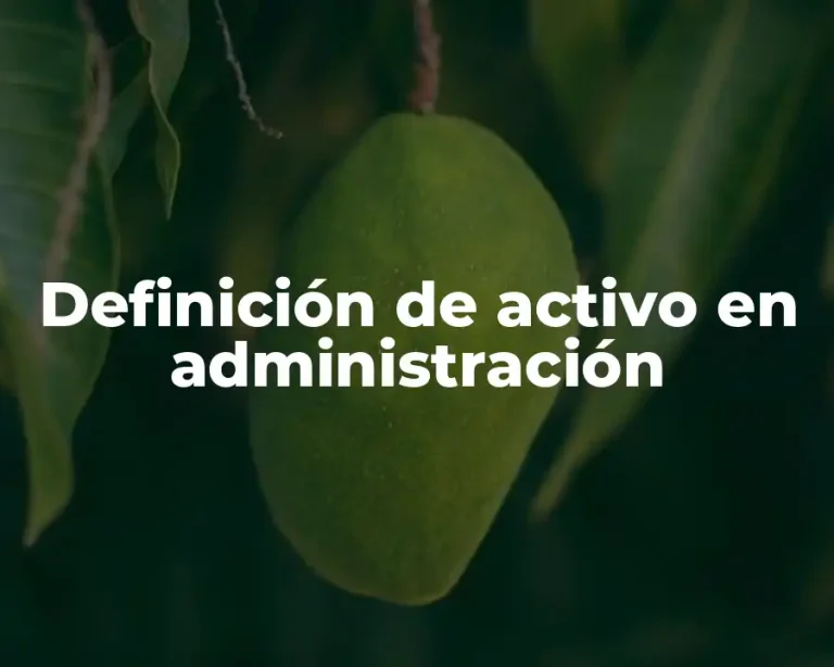 Definición de activo en administración