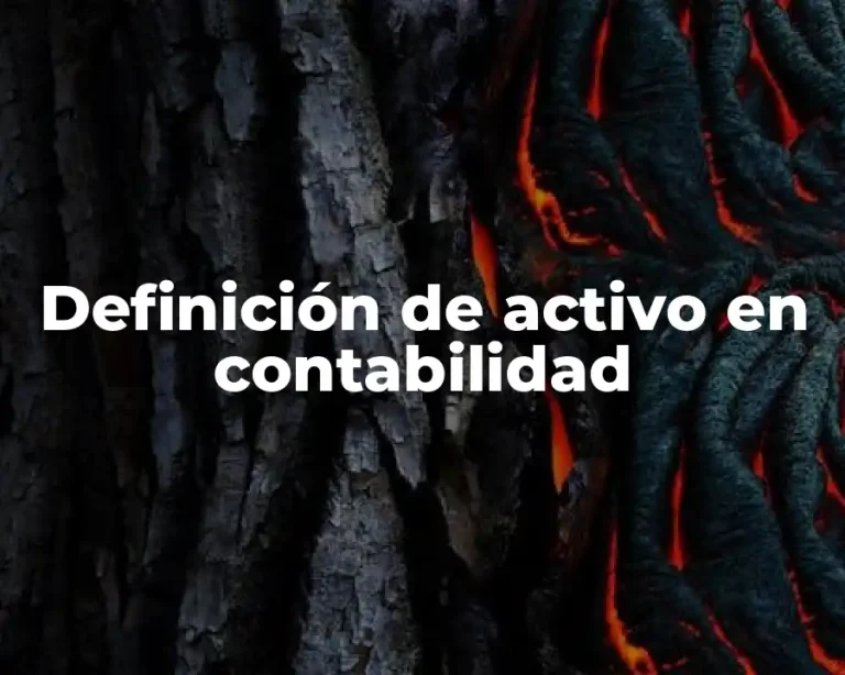 Definición de activo en contabilidad