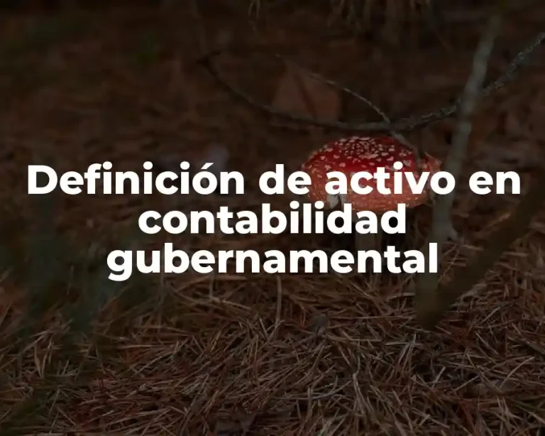 Definición de activo en contabilidad gubernamental