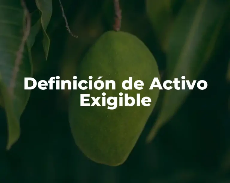 Definición de Activo Exigible