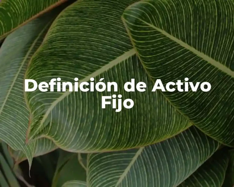 Definición de Activo Fijo