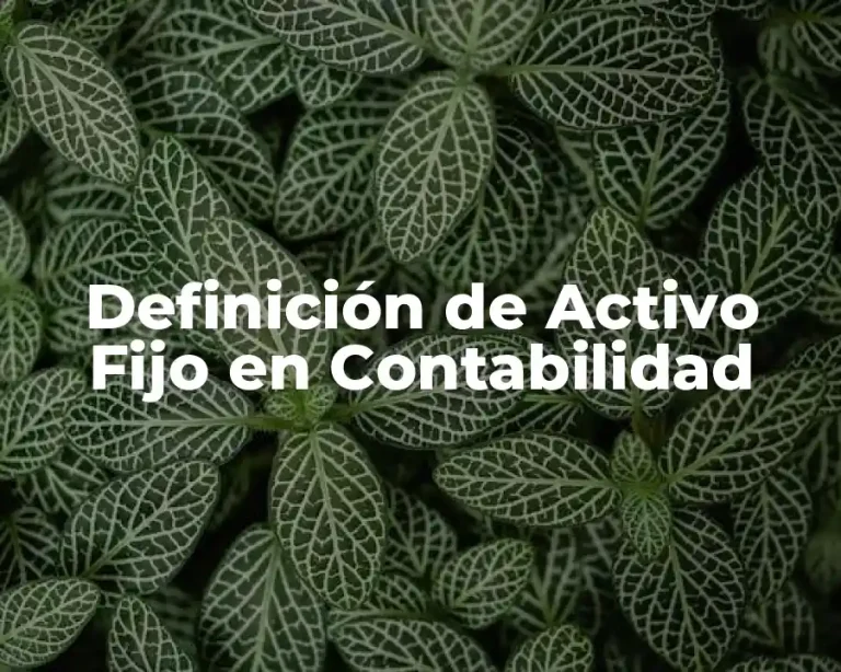Definición de Activo Fijo en Contabilidad