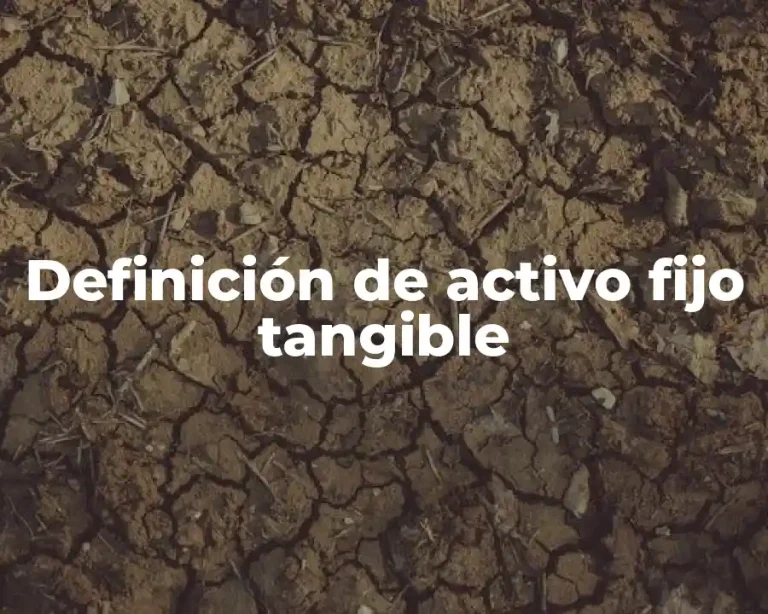 Definición de activo fijo tangible