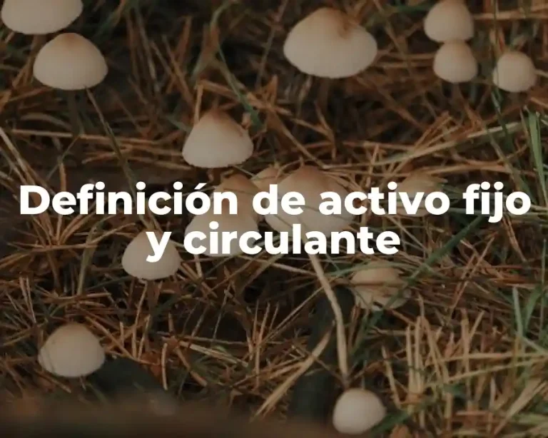 Definición de activo fijo y circulante