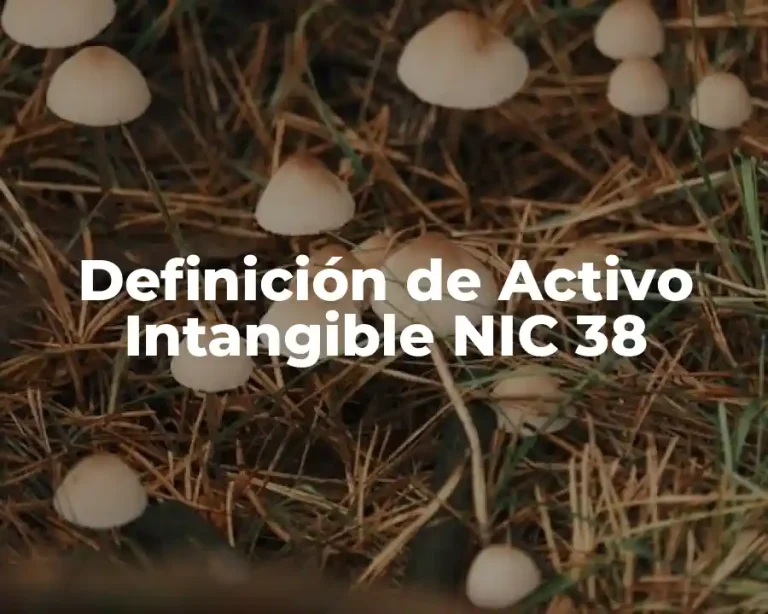 Definición de Activo Intangible NIC 38