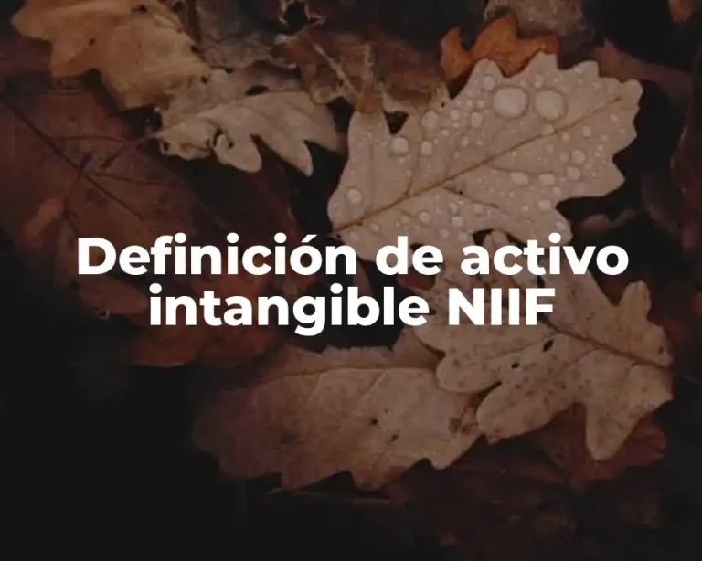 Definición de activo intangible NIIF