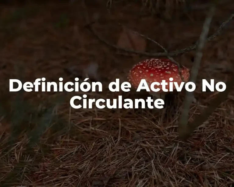 Definición de Activo No Circulante