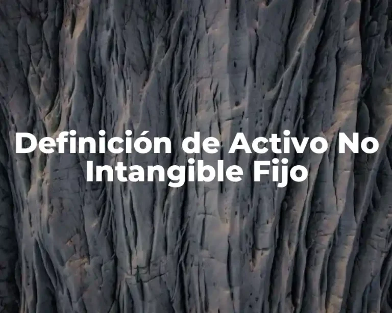 Definición de Activo No Intangible Fijo