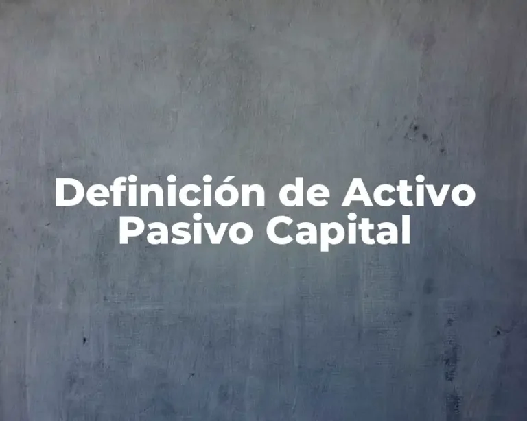 Definición de Activo Pasivo Capital