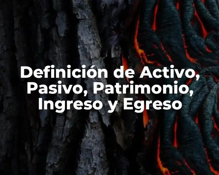 Definición de Activo, Pasivo, Patrimonio, Ingreso y Egreso