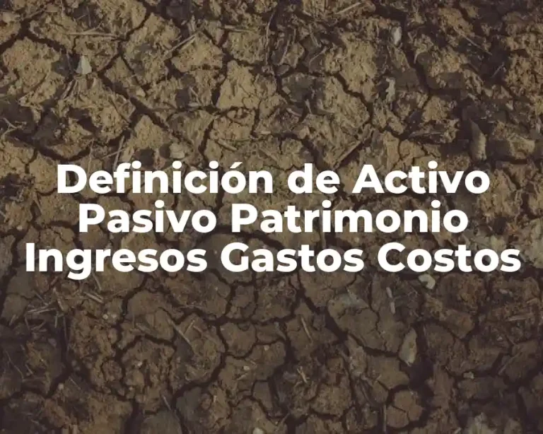 Definición de Activo Pasivo Patrimonio Ingresos Gastos Costos
