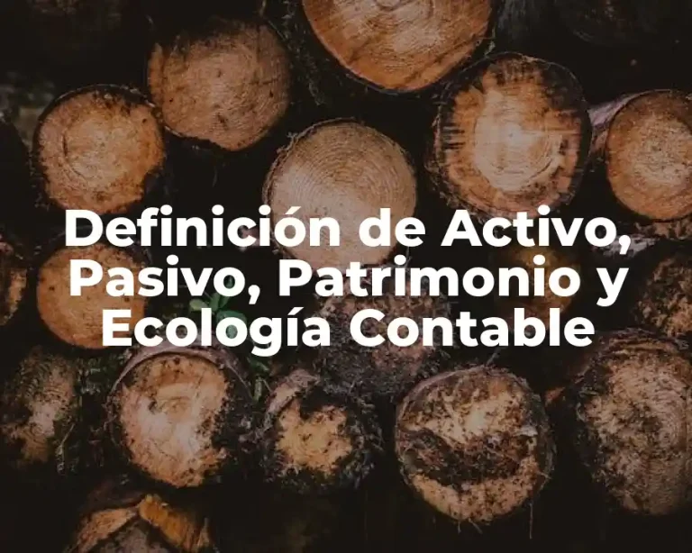 Definición de Activo, Pasivo, Patrimonio y Ecología Contable