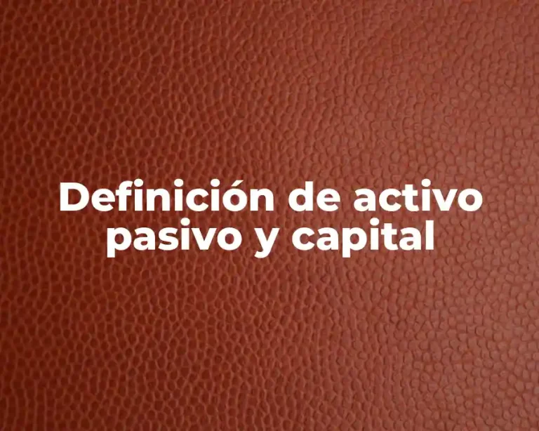 Definición de activo pasivo y capital
