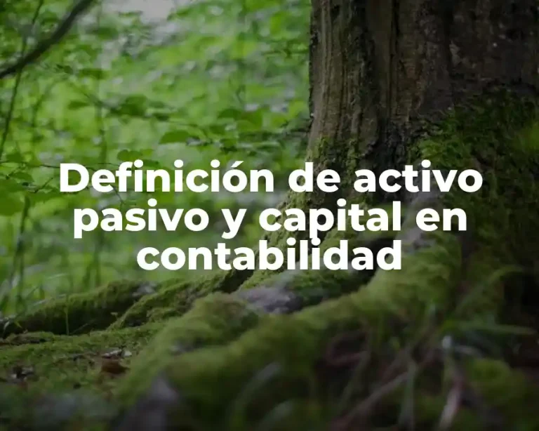 Definición de activo pasivo y capital en contabilidad