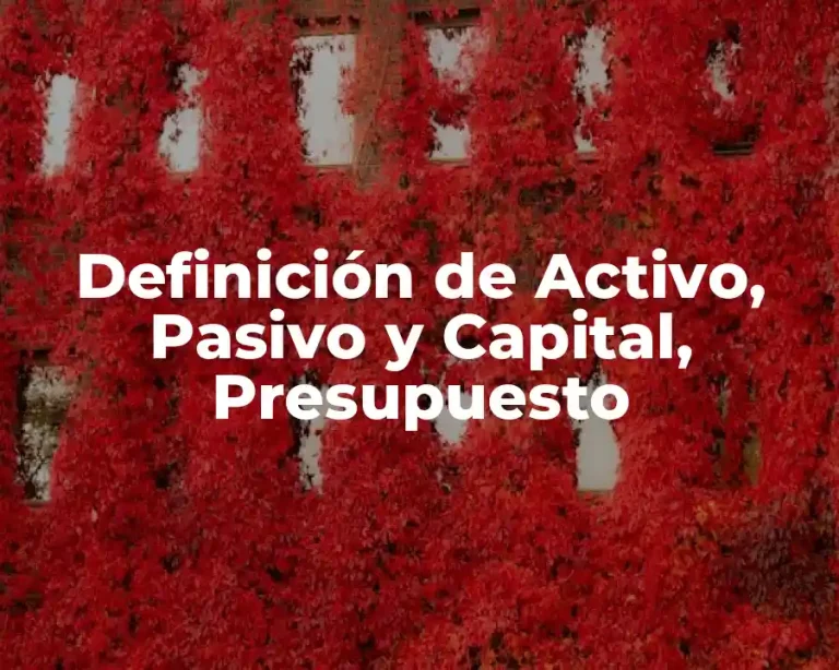 Definición de Activo, Pasivo y Capital, Presupuesto