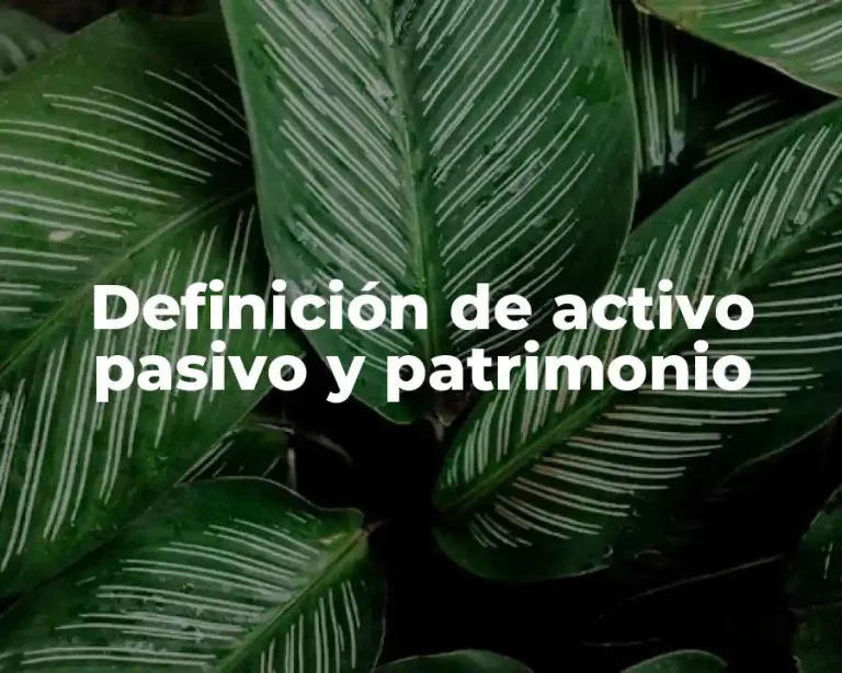 Definición de activo pasivo y patrimonio